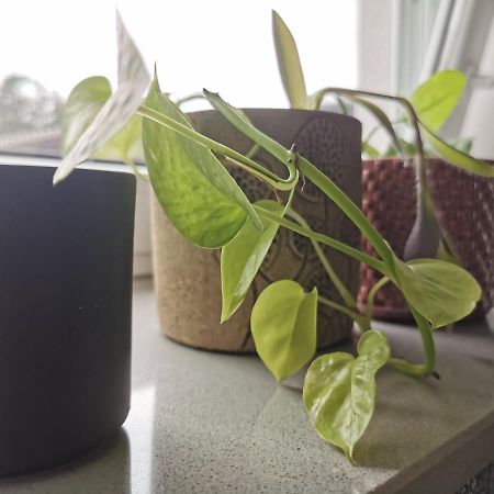 פריצלר Apartment Maigloeckchen מראה חיצוני תמונה